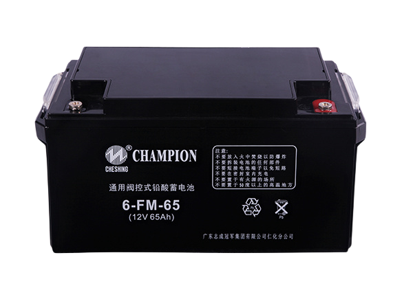 普通型蓄電池